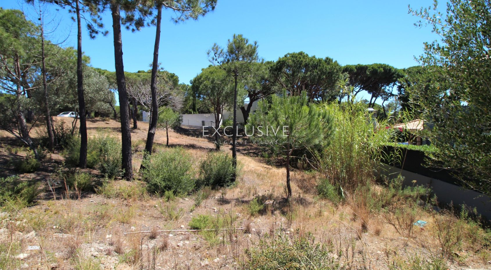 Land in Loule - view 1