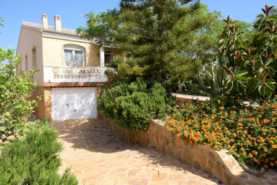 House in Los Llanos - view 1