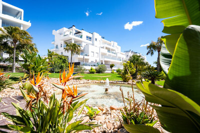 Apartment in Alicante - view 1