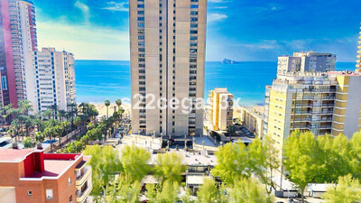 Apartment in Alicante - view 1