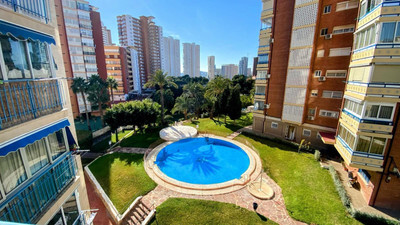 Apartment in Alicante - view 1