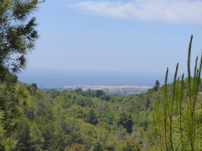 Land in Alicante - view 1