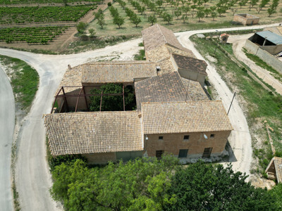 Farm, Ranch or Equestrian in Alicante - view 1