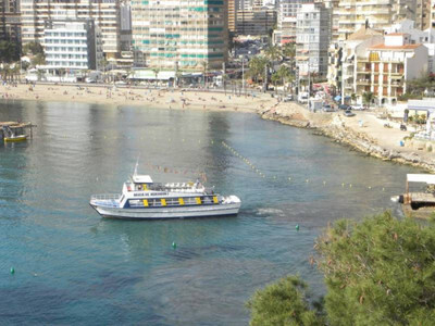 Apartment in Alicante - view 1