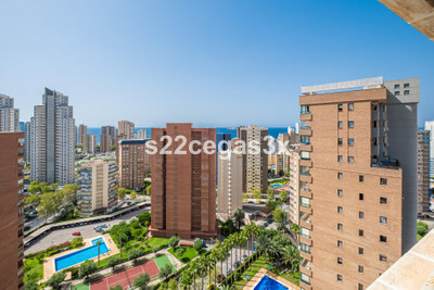 Apartment in Alicante - view 1