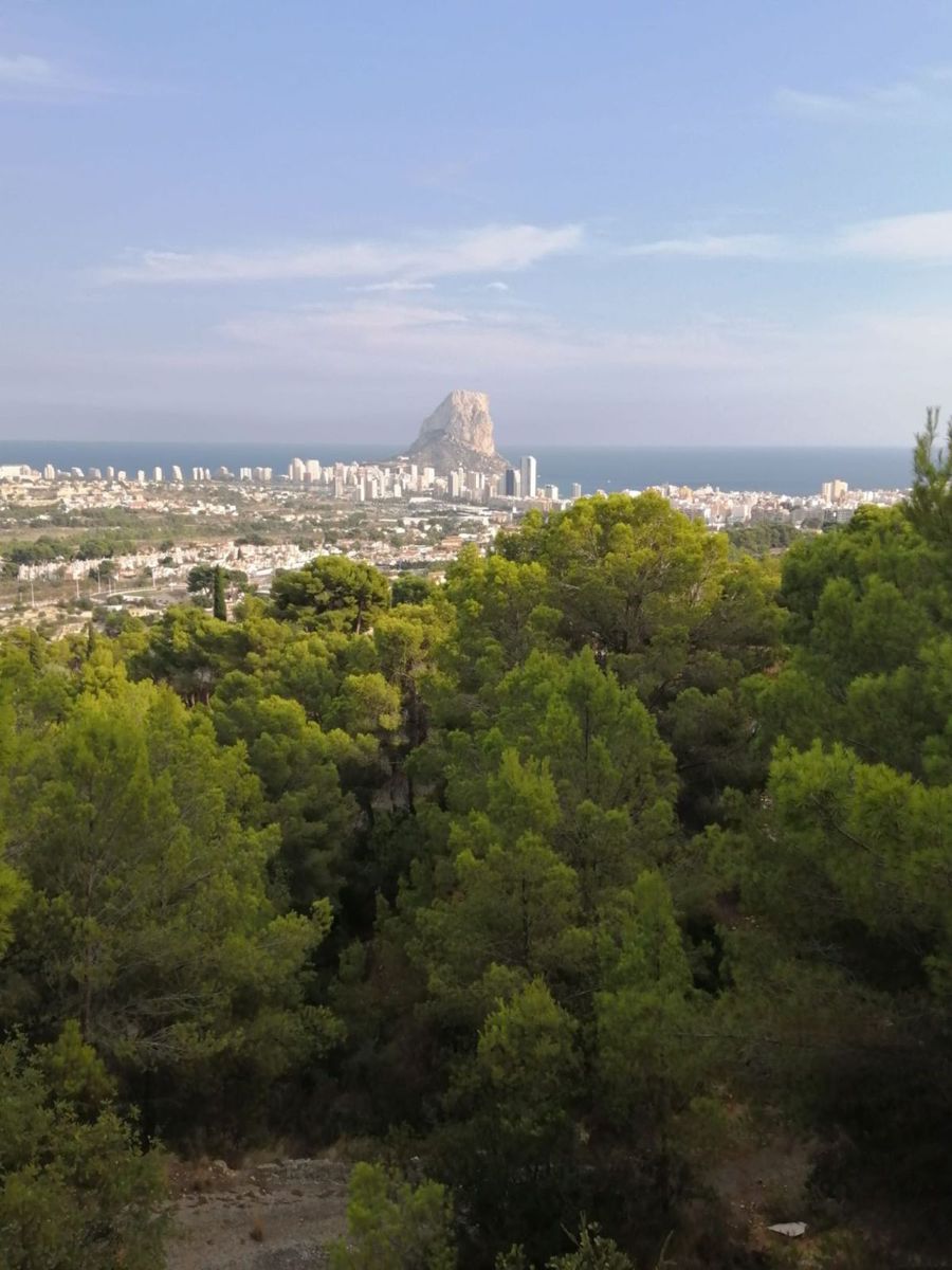 Villa in San Juan de Alicante - view 1