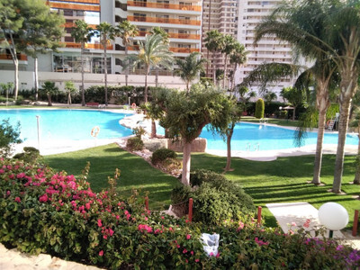 Apartment in Alicante - view 1
