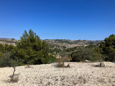 Land in Benissanet - view 1