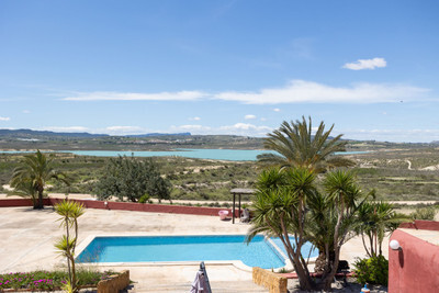Villa in Elche - view 1