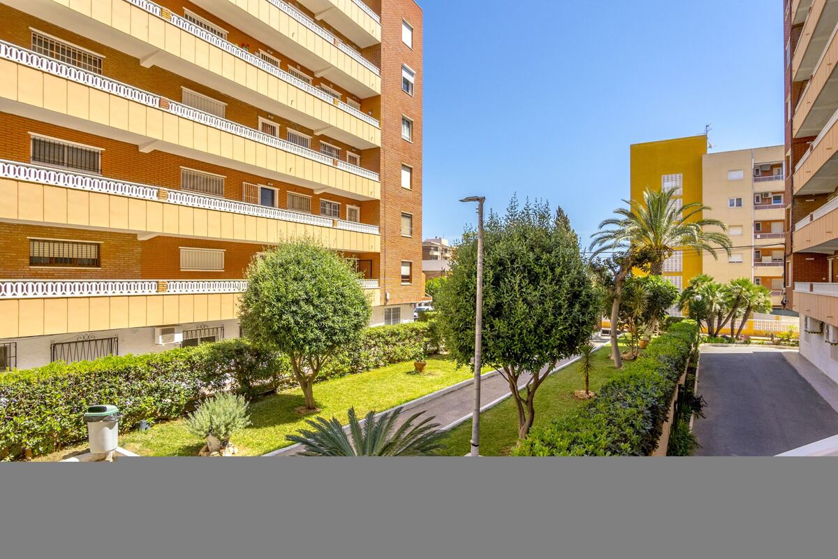 Apartment in Alicante - view 1