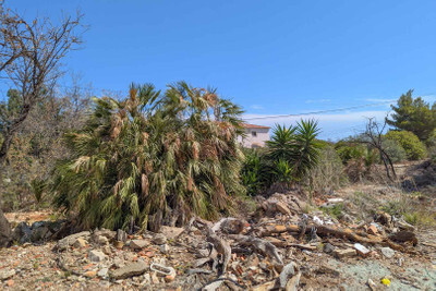 Land in San Juan de Alicante - view 1