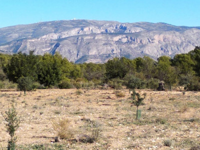 Land in Alicante - view 1