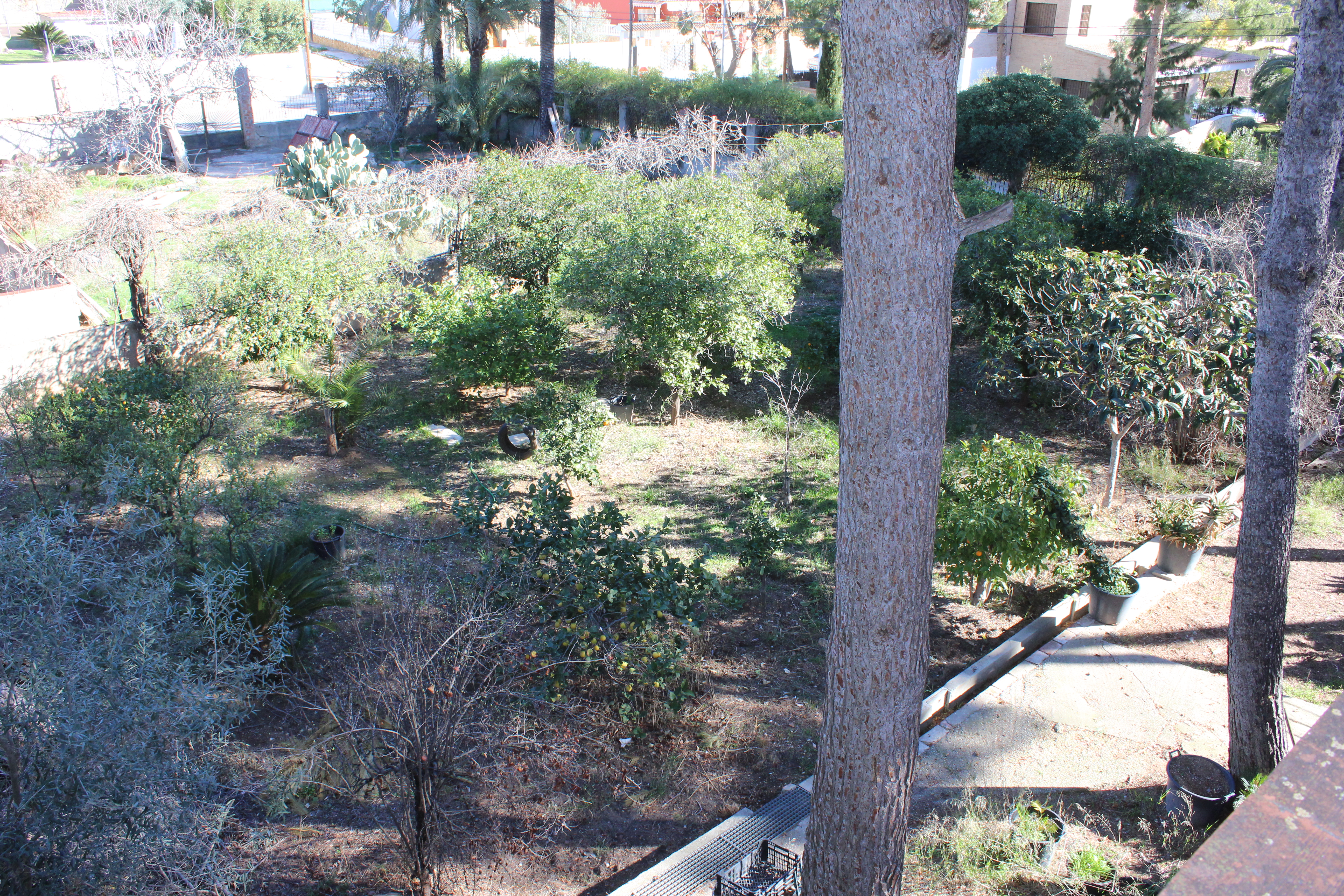 Land in L'Eliana - view 1
