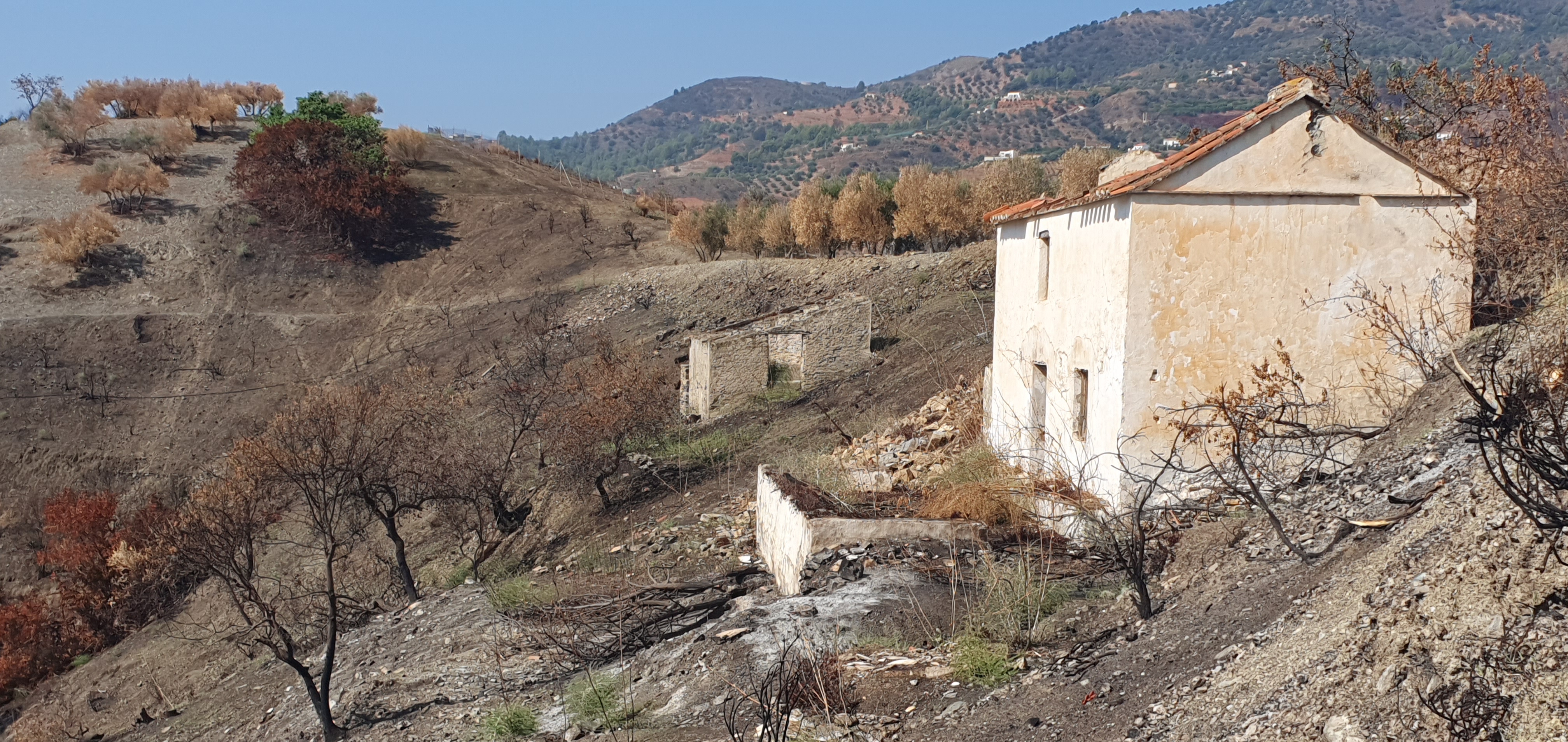 Land in Granada - view 1