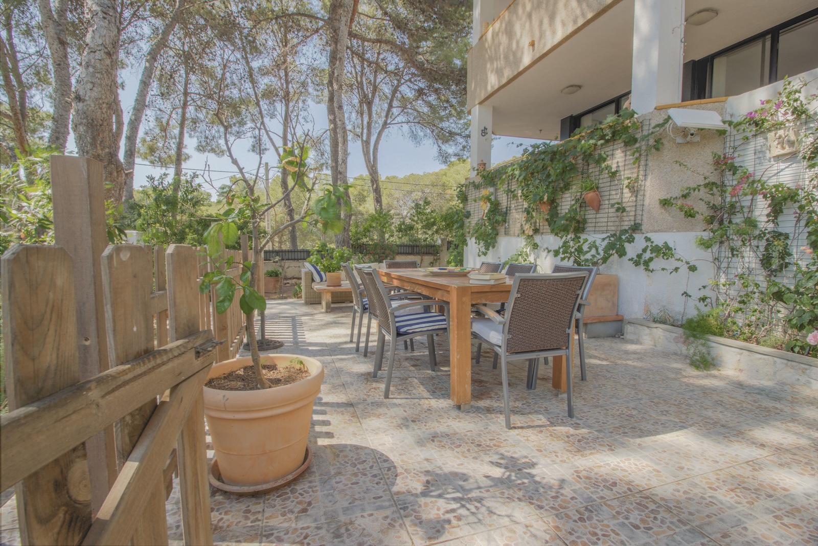 Apartment in Santa Ponsa - view 1