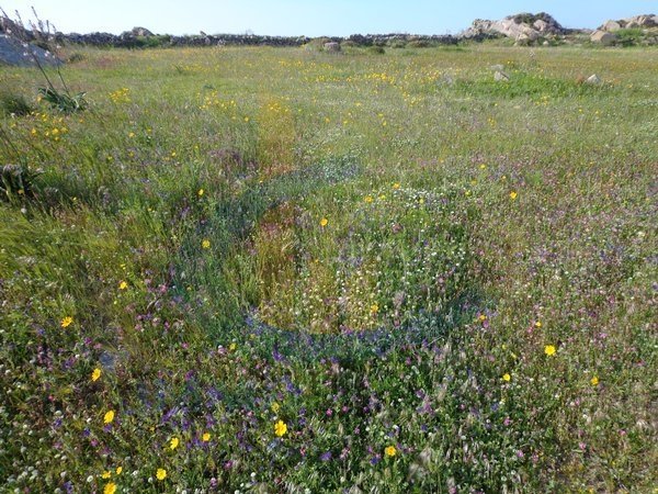 Land in Naxos - view 1