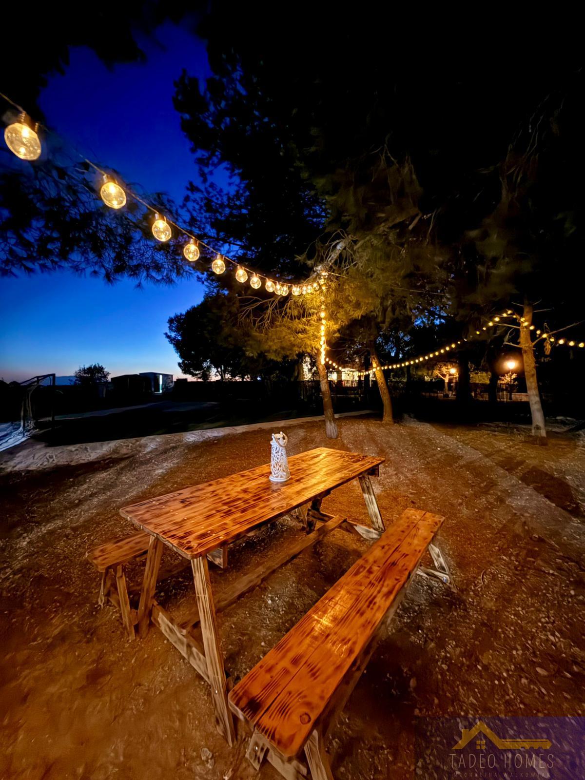 House in Casas del Cura - view 1