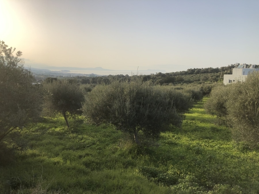 House in Arkadi - view 1