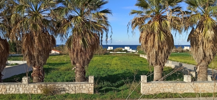 House in Arkadi - view 1