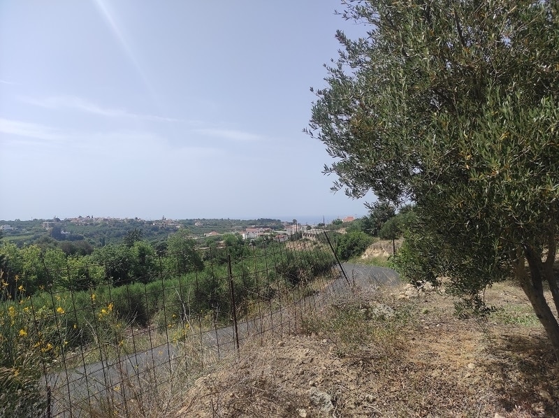 House in Arkadi - view 1