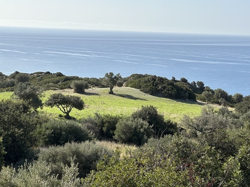 House in Lampi - view 1
