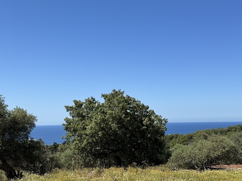 House in Nikiforos Fokas - view 1