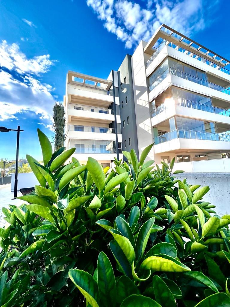 Apartment in Alicante - view 1