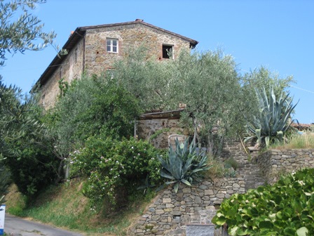 Villa in Lucca - view 1