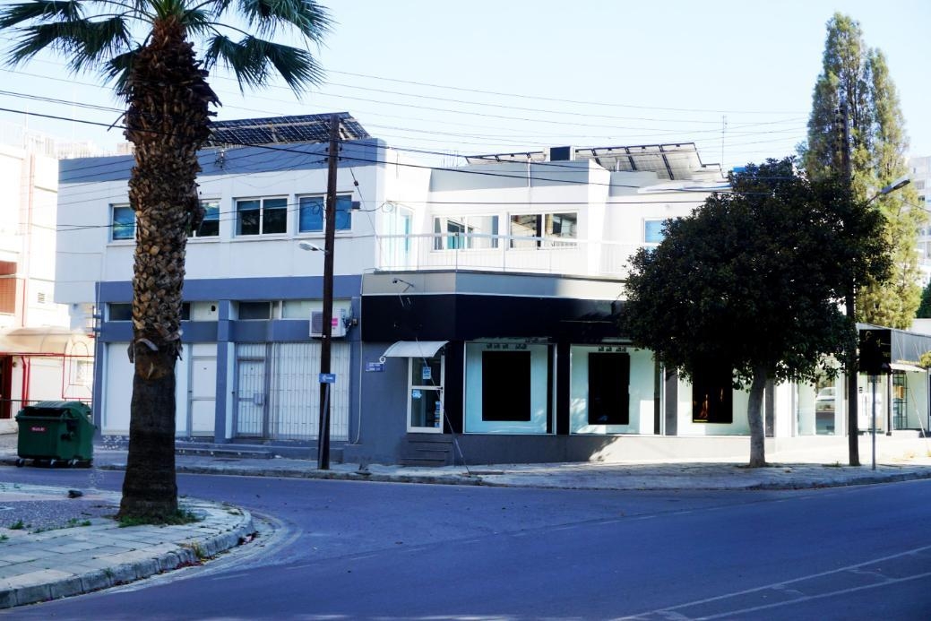 House in Ayioi Omoloyites - view 1
