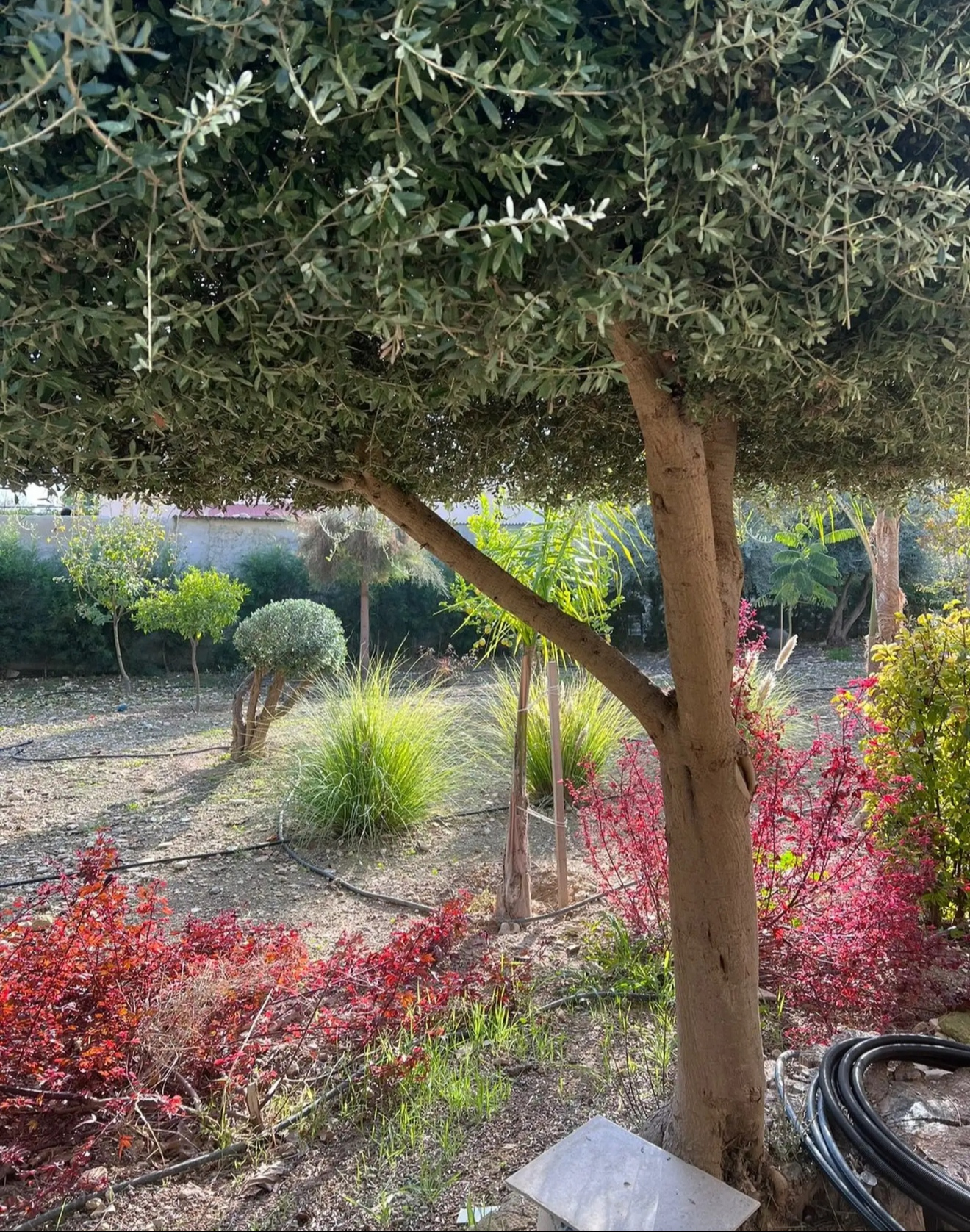 House in Fasoula - view 1