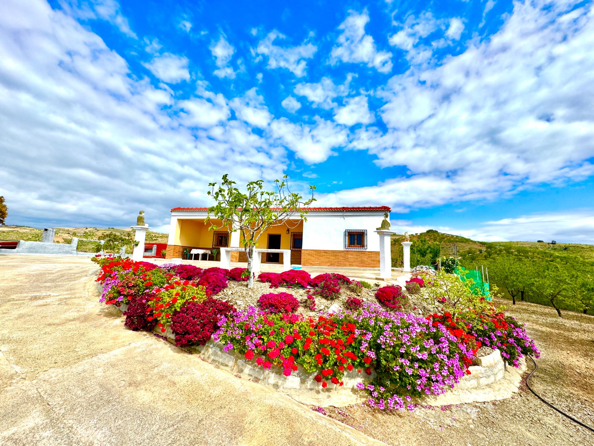 Villa in Los Vargas - view 1