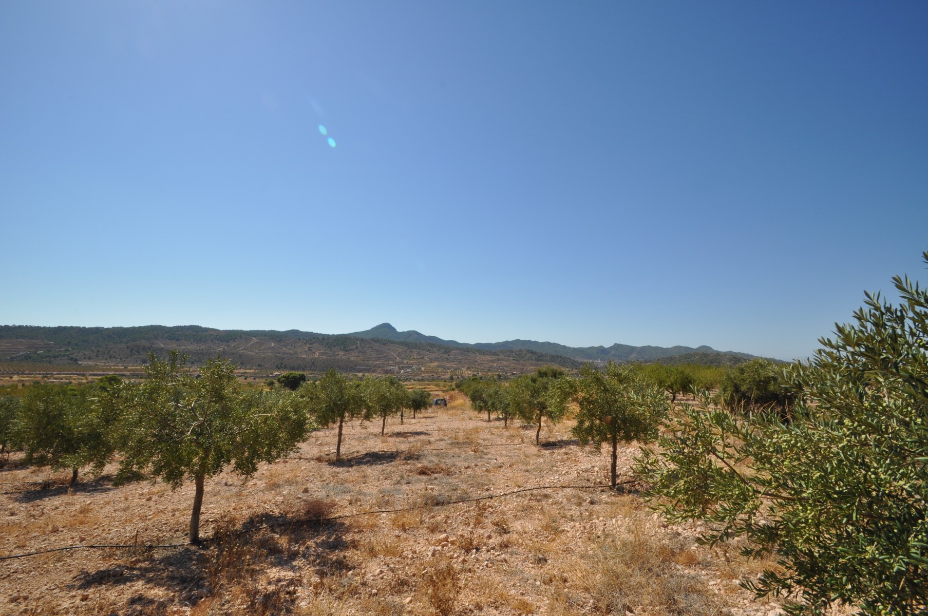 Land in Santa Cruz - view 1