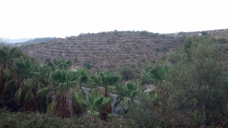 Land in Alicante - view 1