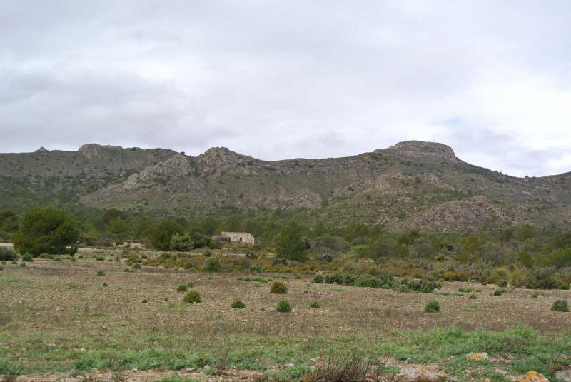Land in Santa Cruz - view 1