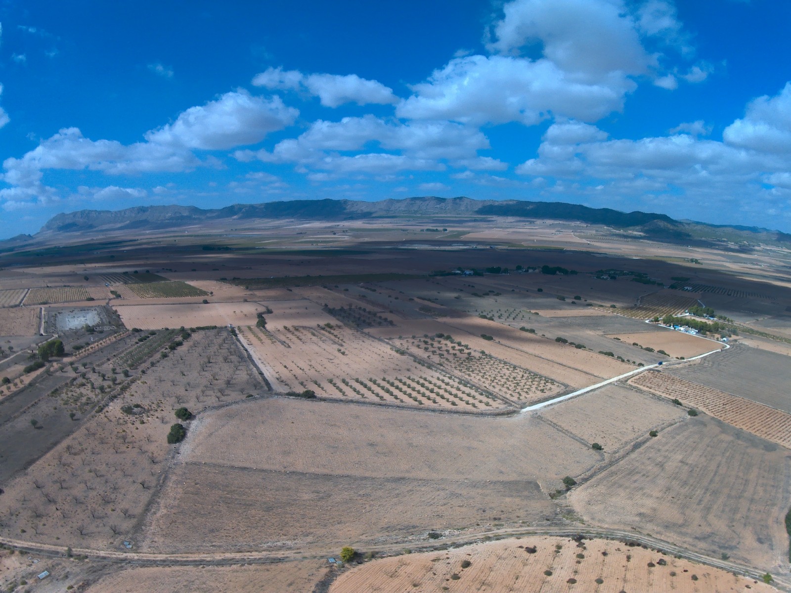 Land in Santa Cruz - view 1