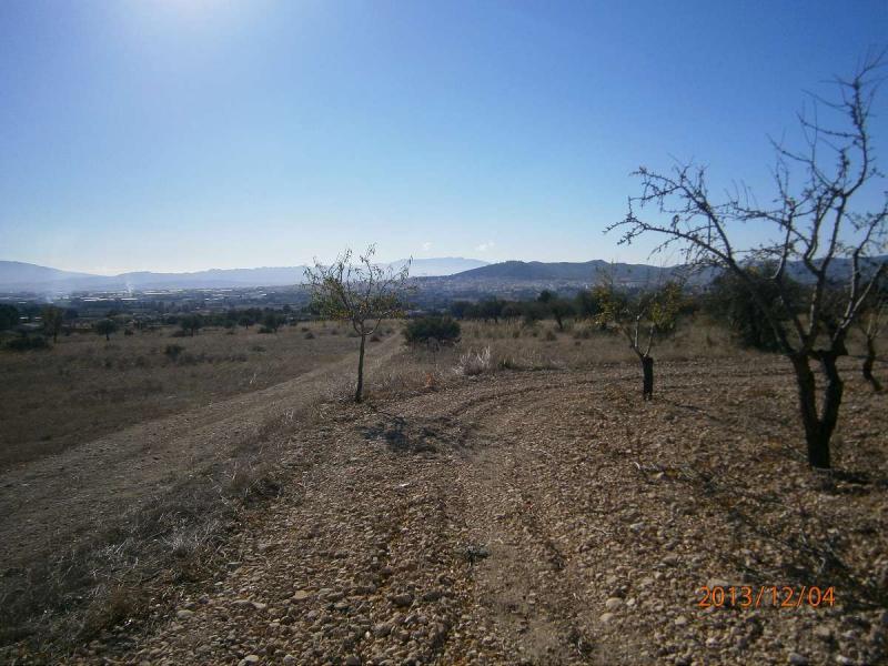 Land in Santa Cruz - view 1