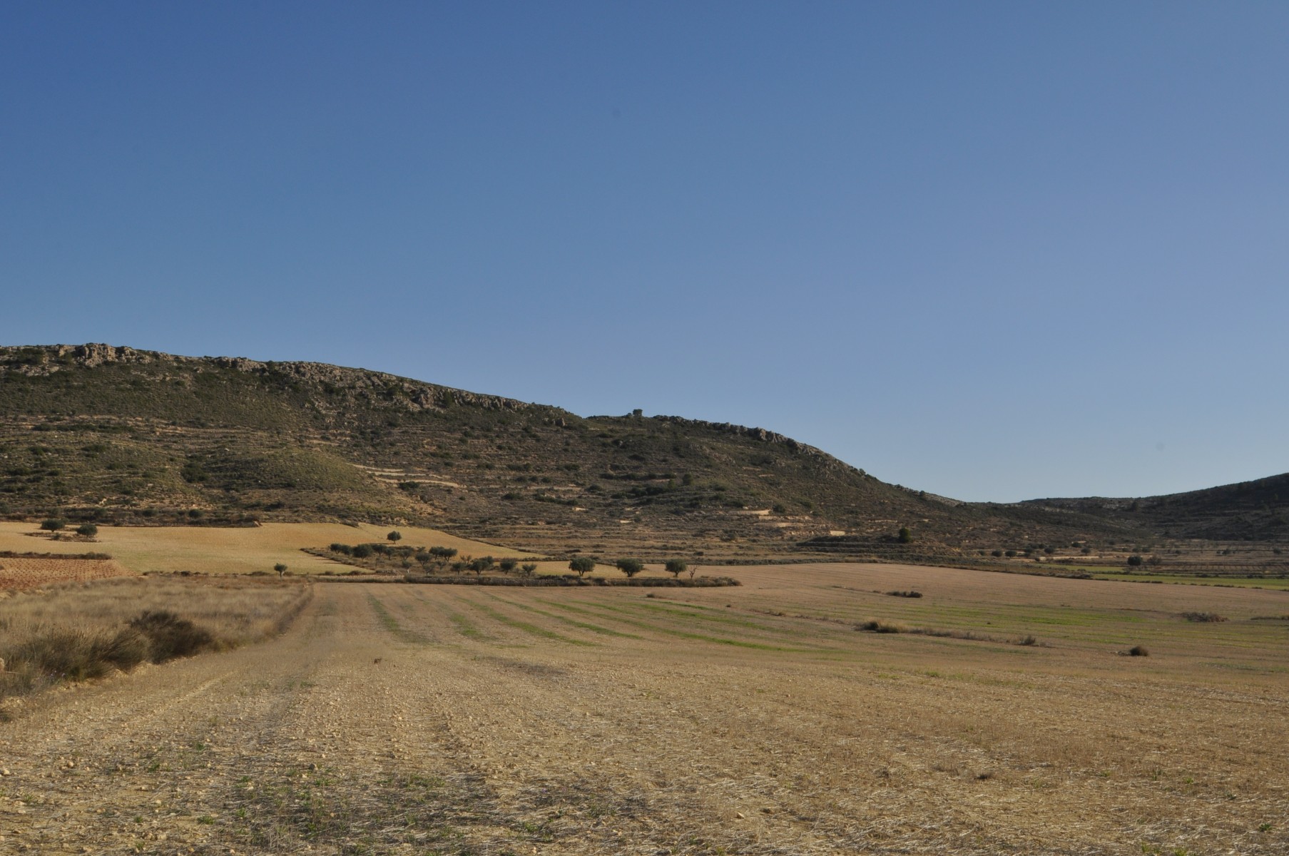 Land in Torre del Rico - view 1