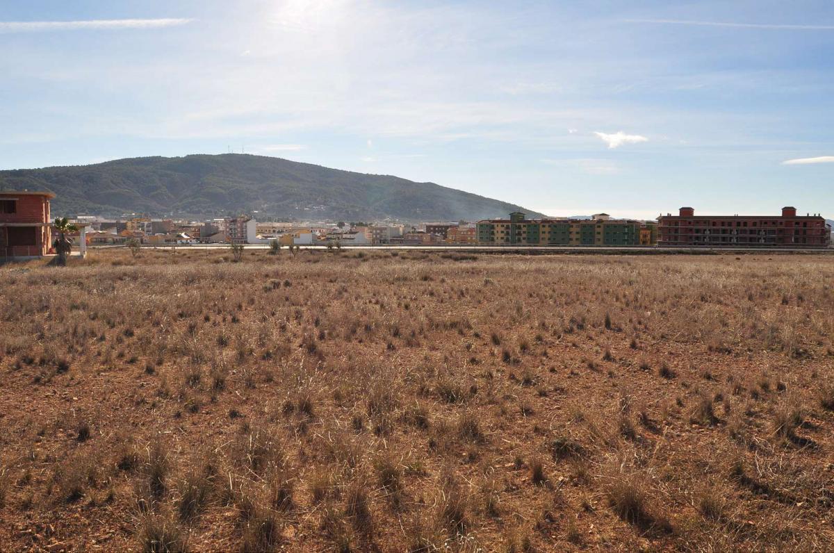 Land in Pinoso - view 1