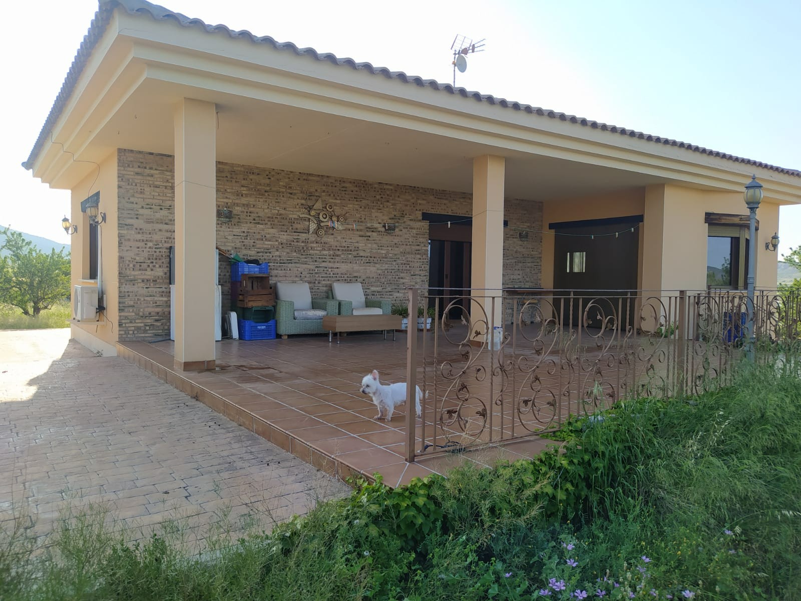 Villa in Santa Cruz - view 1
