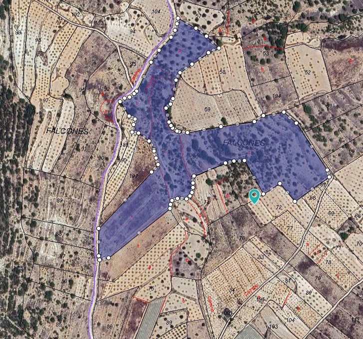 Land in Monovar - view 1