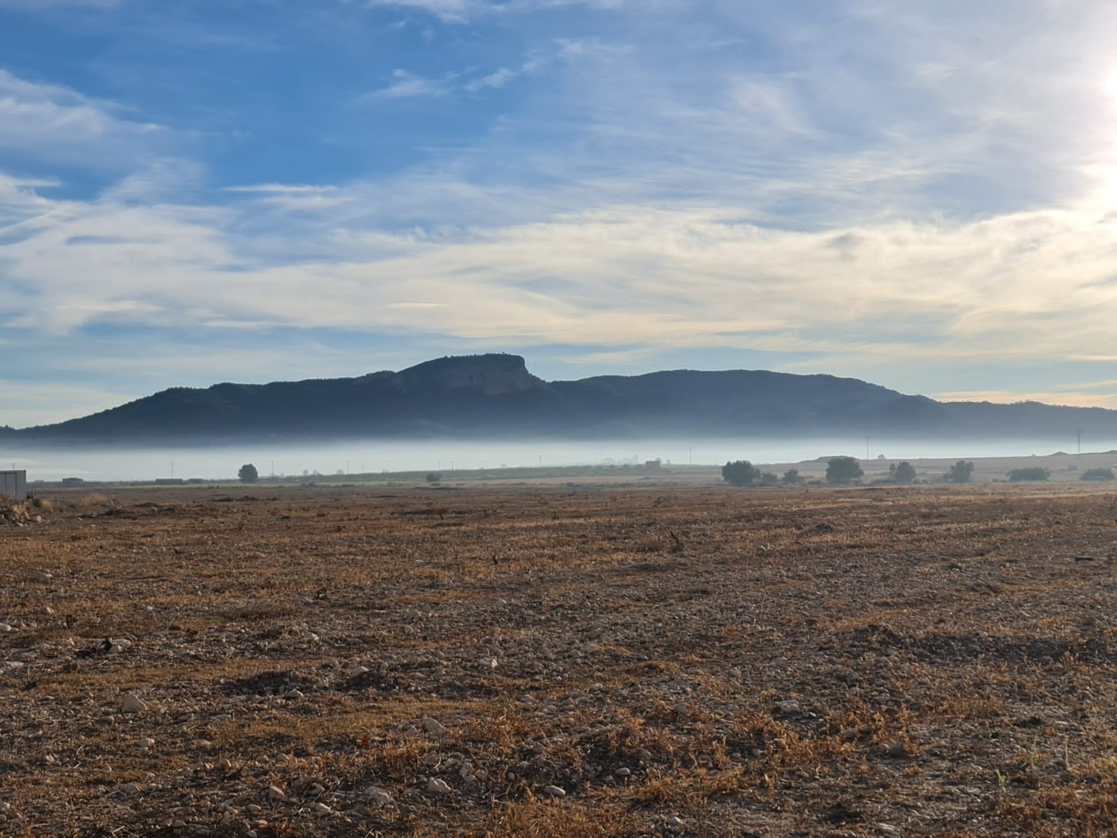 Land in Monovar - view 1