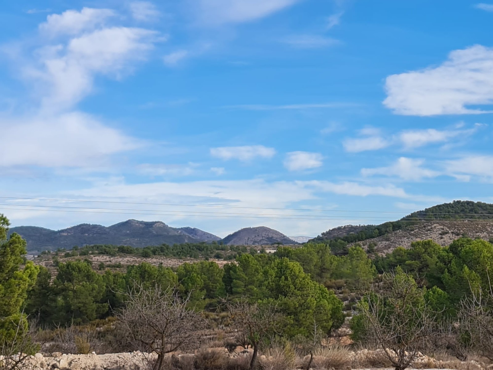 Land in Monovar - view 1
