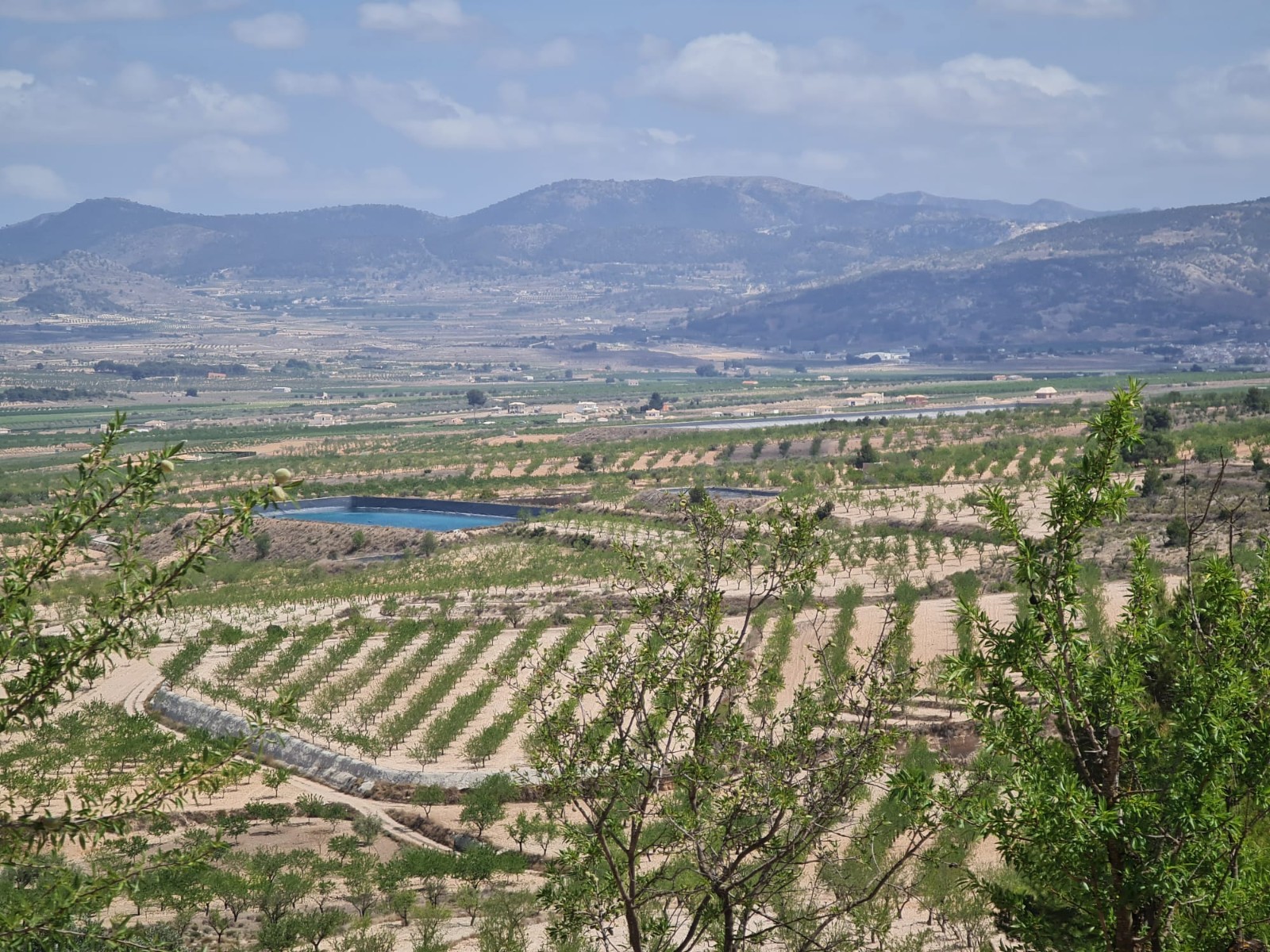 Land in Santa Cruz - view 1