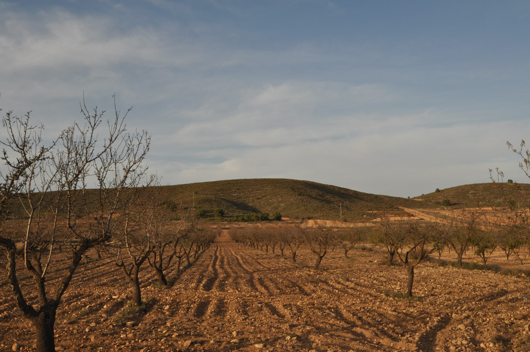 Land in Cabanillas - view 1