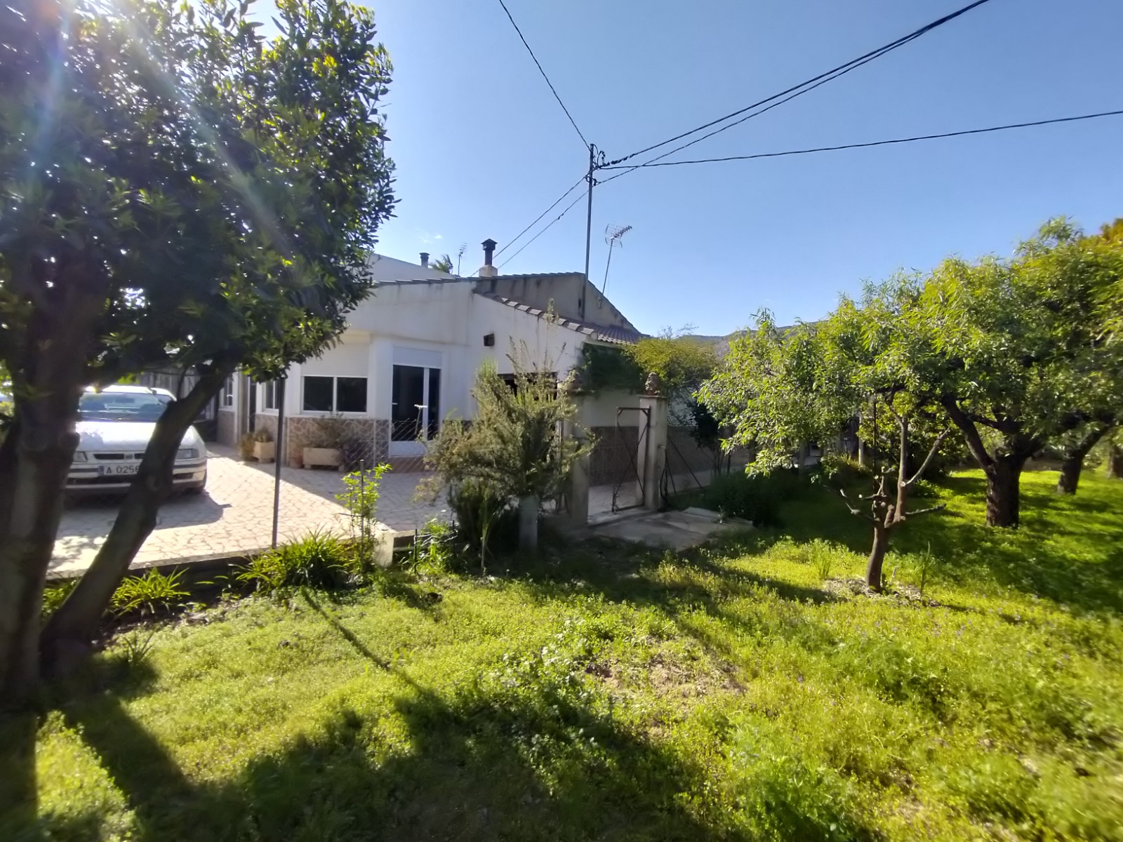 Villa in Elda - view 1