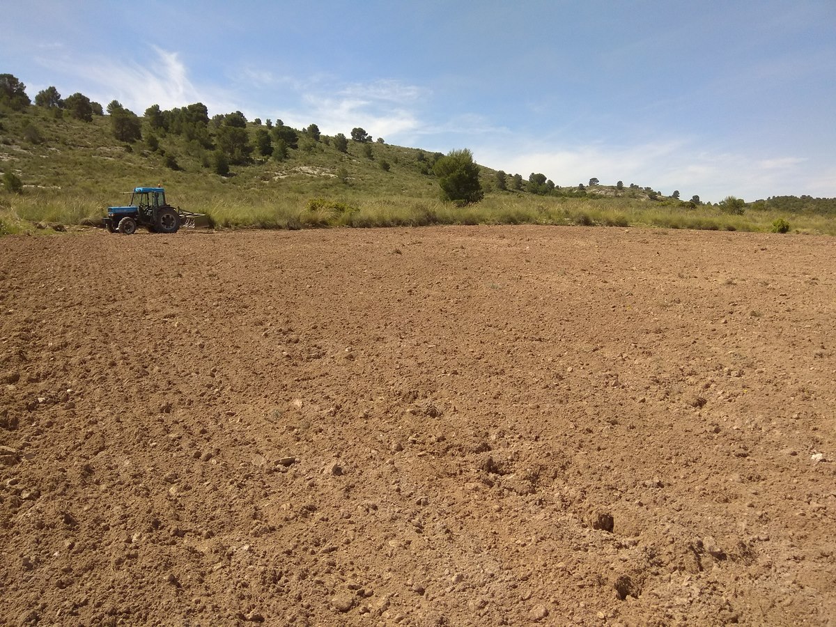 Land in Santa Cruz - view 1