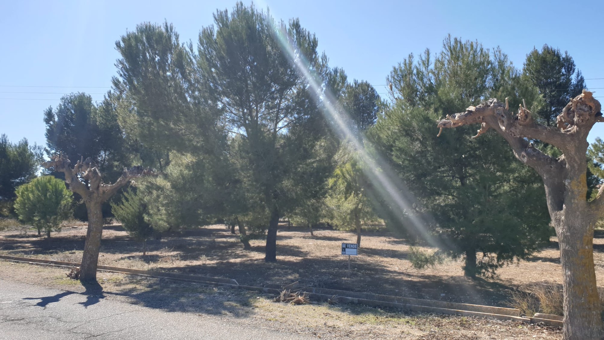 Land in Alicante - view 1