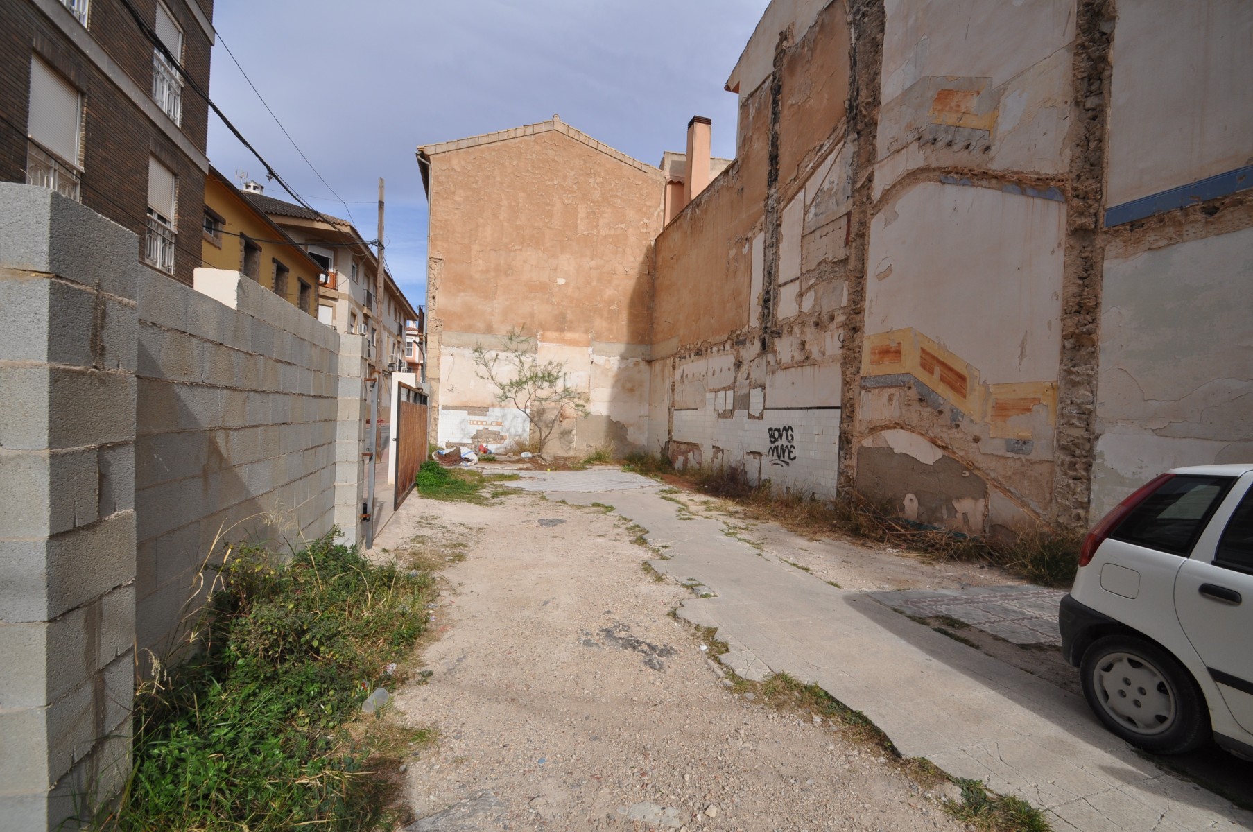 Land in Monovar - view 1