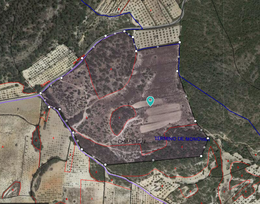 Land in Monovar - view 1