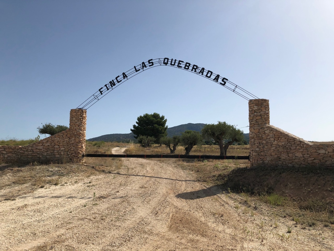 Land in Santa Cruz - view 1